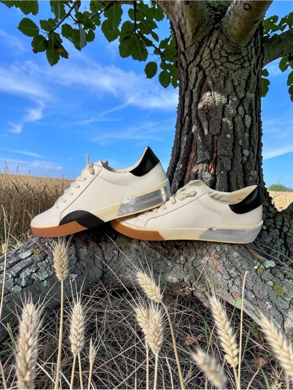 DV By Dolce Vita Womens Helix Casual and Fashion Sneakers 8.5